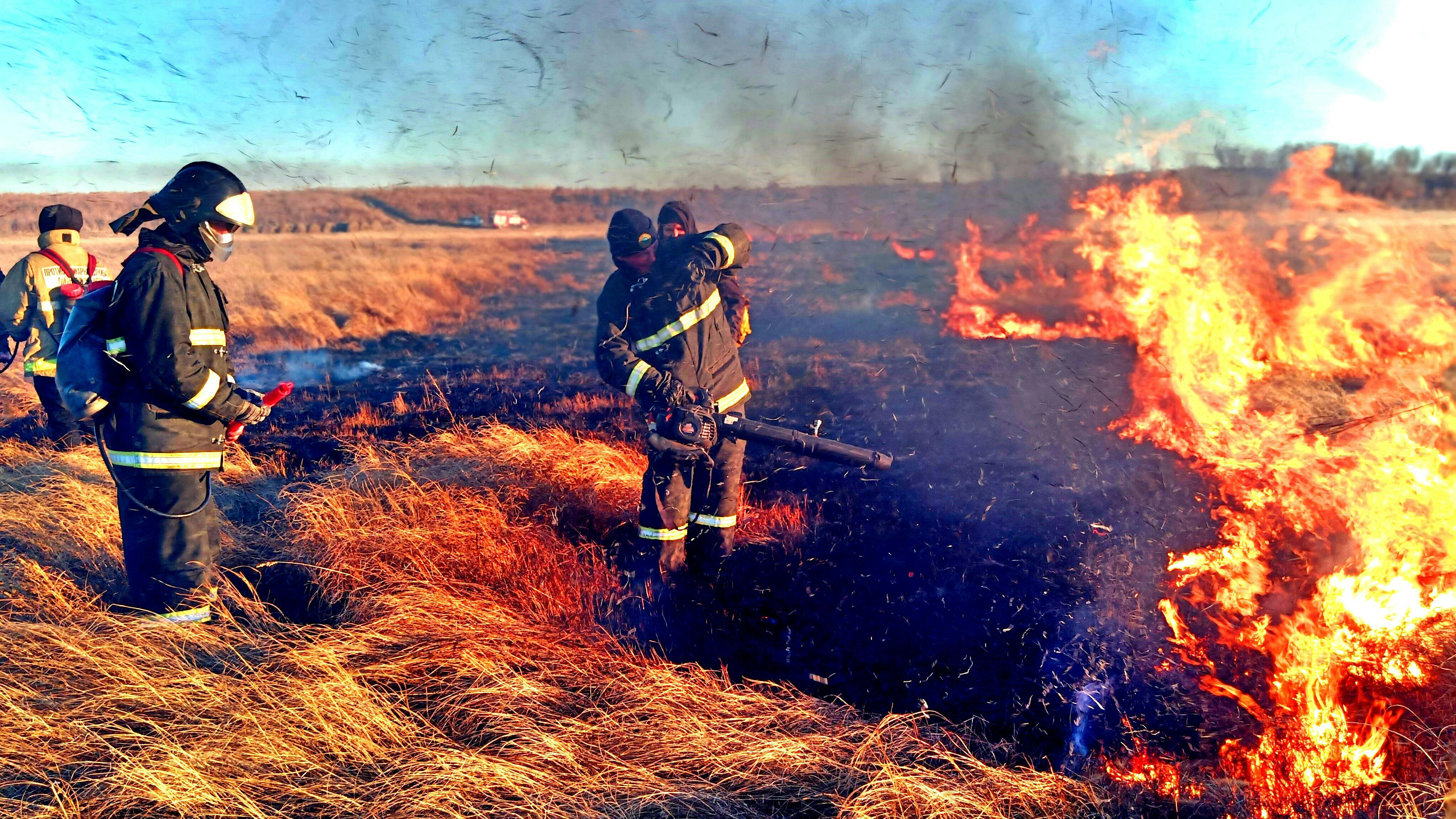 compensación por incendios forestales