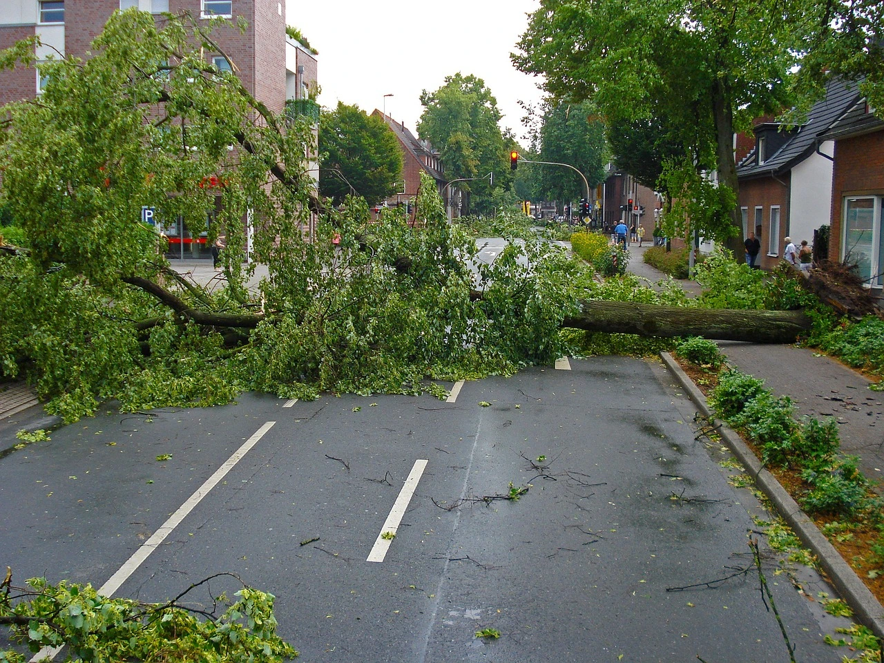 workers' comp after a hurricane