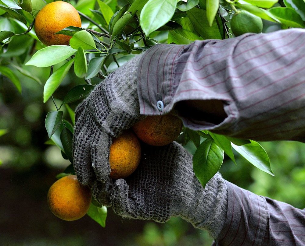 Farm worker