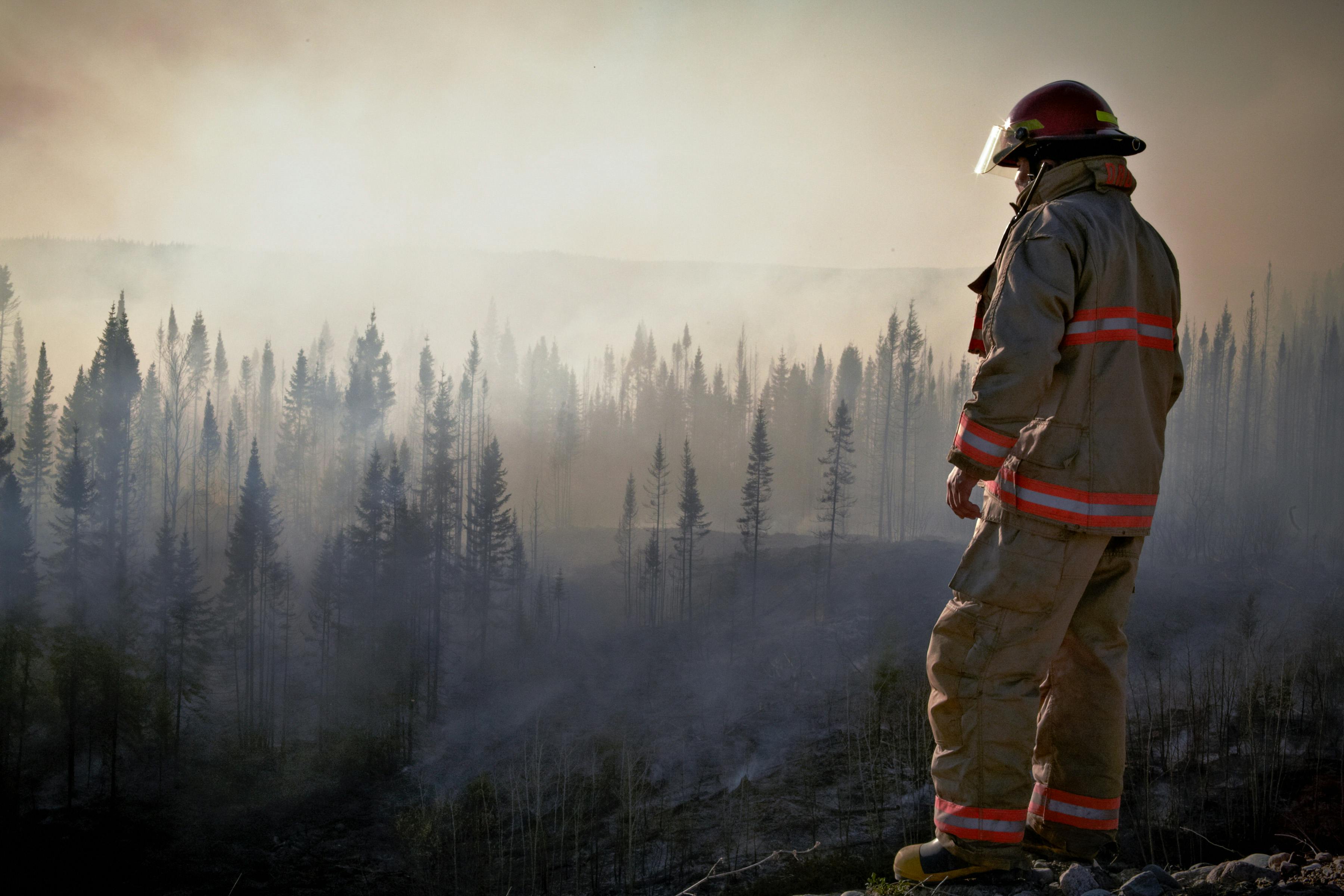 compensación por incendios forestales